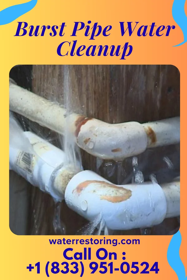 Burst Pipe Water Cleanup in Martinsburg Junction, PA