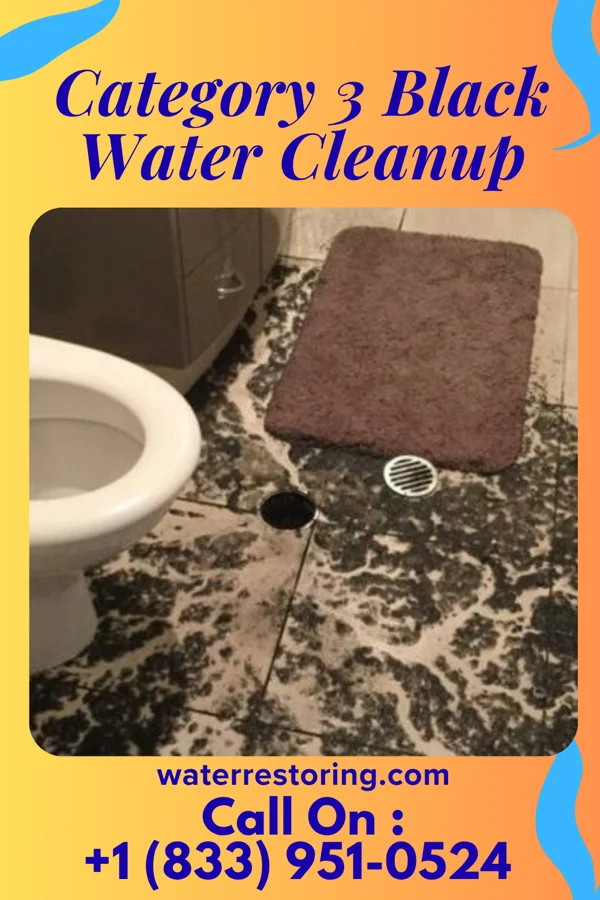 Category 3 Black Water Cleanup in Martinsburg Junction, PA