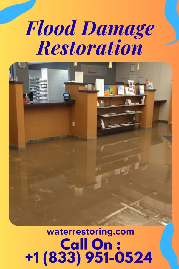 Flood Damage Restoration in Martinsburg Junction, PA