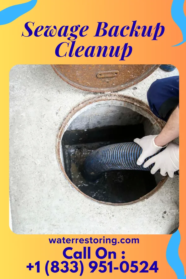 Sewage Backup Cleanup in Martinsburg Junction, PA